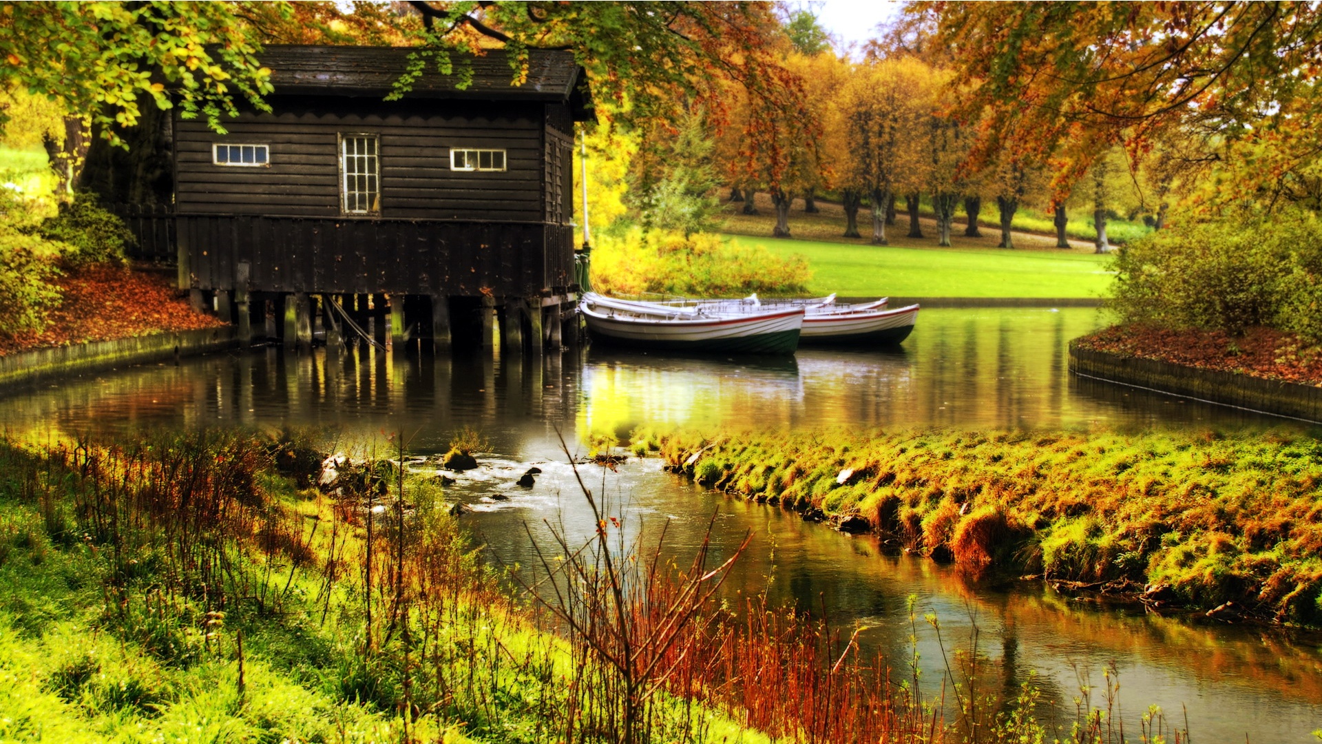 Dream Cottage - Beautiful Scenery